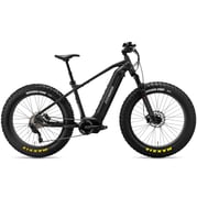 FitNord Rumble 1000 Elfatbike 2024, svart (856 Wh batteri/110 Nm) 1