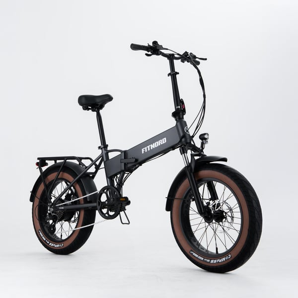 FitNord Rumble 150 Elfatbike 9