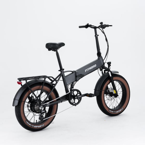 FitNord Rumble 150 Elfatbike 10