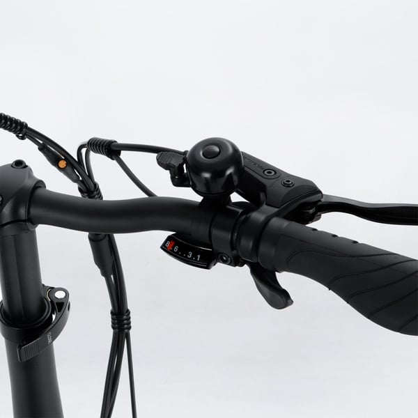 FitNord Rumble 150 Elfatbike 12