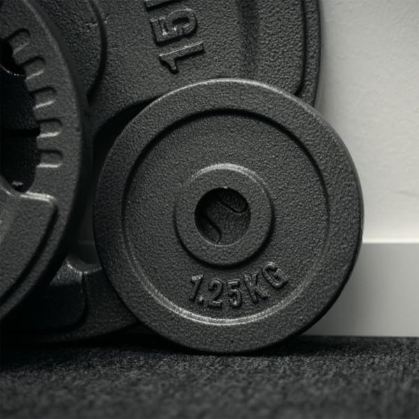FitNord Vektskive 30 mm, Støpejern 1,25 kg 2