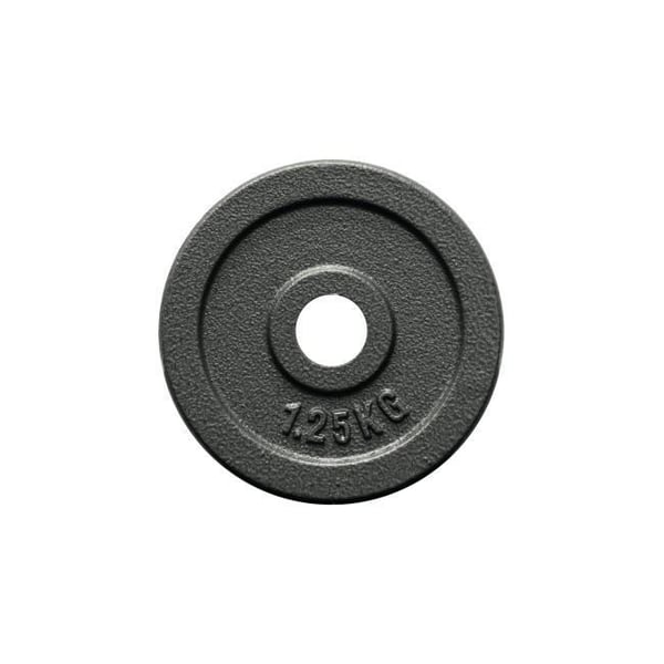 FitNord Vektskive 30 mm, Støpejern 1,25 kg 1