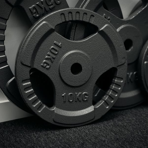 FitNord Vektskive med grep 30 mm, Støpejern 10 kg 3