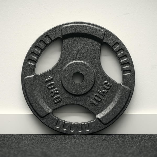 FitNord Vektskive med grep 30 mm, Støpejern 10 kg 2