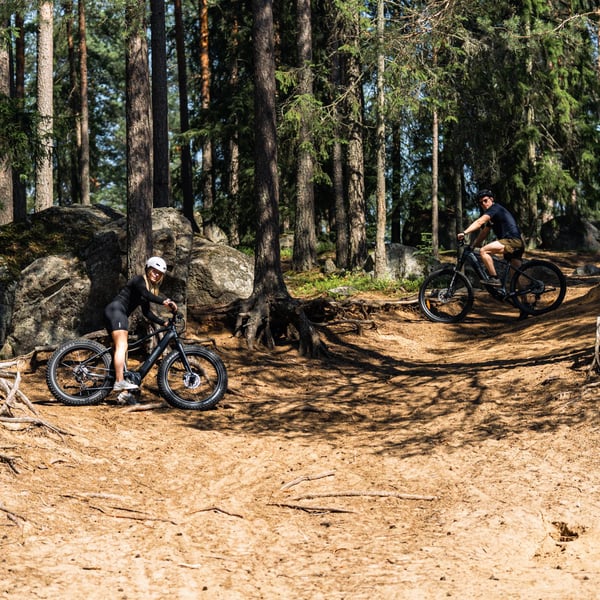 FitNord Ranger 800 Elektrisk terrengsykkel, svart 2