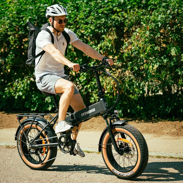 FitNord Rumble 150 Elfatbike 4