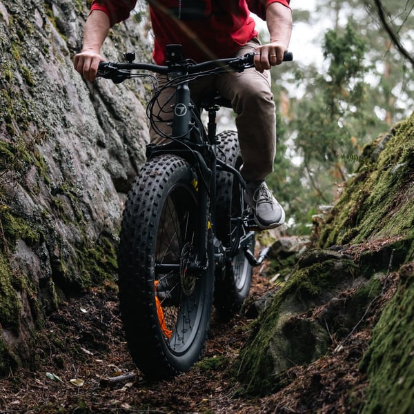 FitNord Rumble 1000 Elfatbike 2024, svart (856 Wh batteri/110 Nm) 2