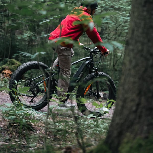 FitNord Rumble 1000 Elfatbike 2024, svart (856 Wh batteri/110 Nm) 4