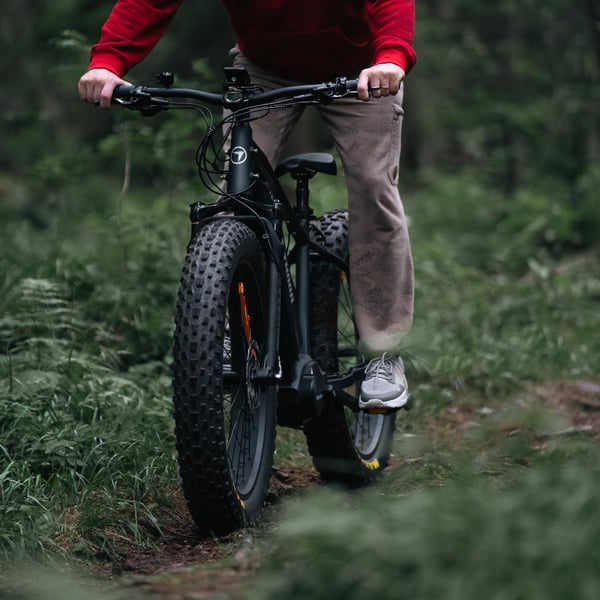 FitNord Rumble 1000 Elfatbike 2024, svart (856 Wh batteri/110 Nm) 5