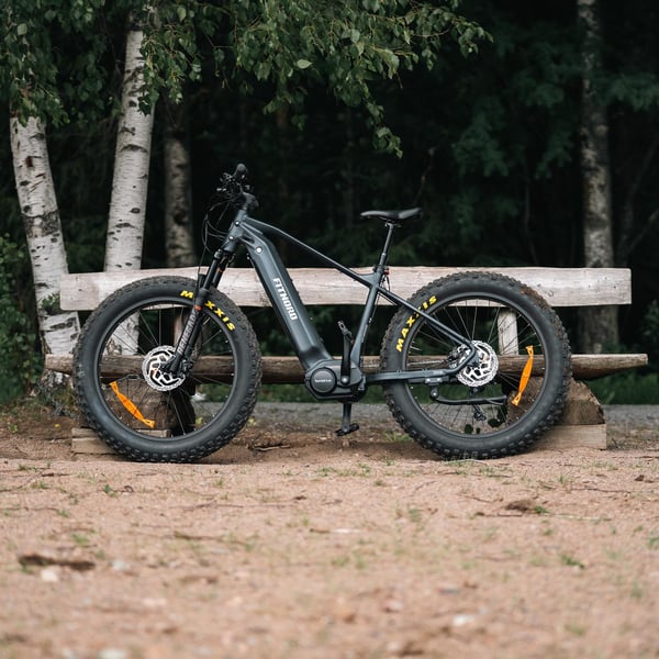 FitNord Rumble 1000 Elfatbike 2024, svart (856 Wh batteri/110 Nm) 7