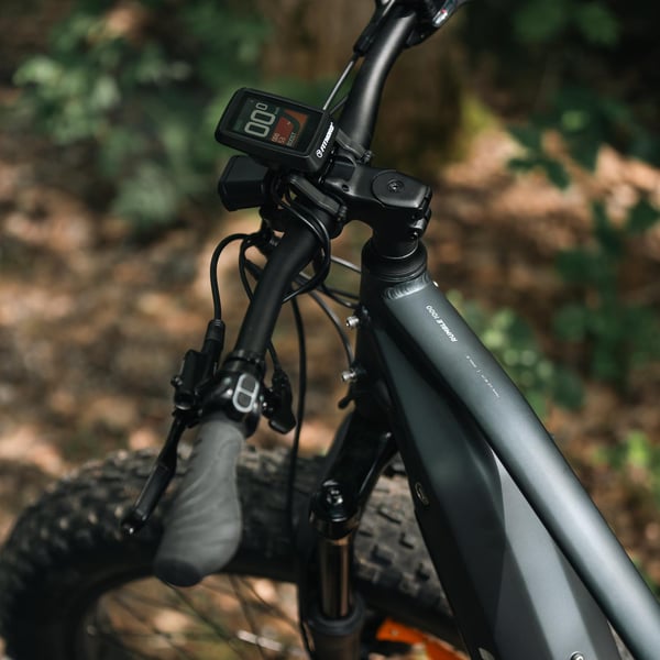 FitNord Rumble 1000 Elfatbike 2024, svart (856 Wh batteri/110 Nm) 6