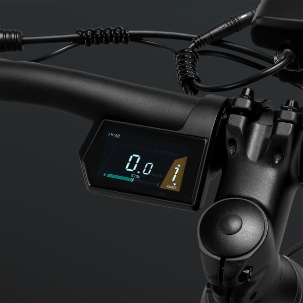 FitNord Ranger 500 Terrengelsykkel 2024, sølv (612Wh batteri/80 Nm) 6