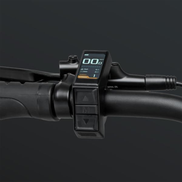 FitNord Ranger 300 El-terrengsykkel 2024, svart (720 Wh batteri/45 Nm) 5