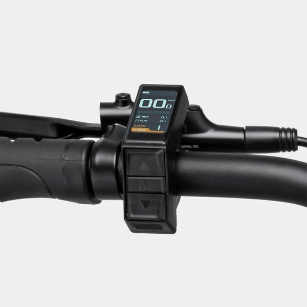 FitNord Ava 500 Elsykkel 2024, gull (612 Wh batteri/80 Nm) 8