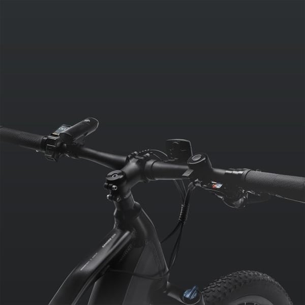 FitNord Ranger 300 El-terrengsykkel 2024, svart (720 Wh batteri/45 Nm) 6