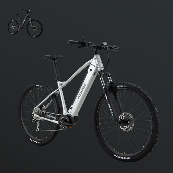 FitNord Ranger 500 Terrengelsykkel 2024, sølv (612Wh batteri/80 Nm) 4