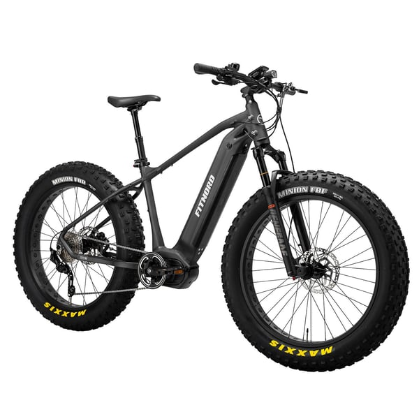FitNord Rumble 1000 Elfatbike 2024, svart (856 Wh batteri/110 Nm) 8