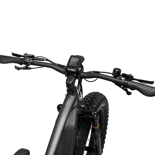 FitNord Rumble 1000 Elfatbike 2024, svart (856 Wh batteri/110 Nm) 10