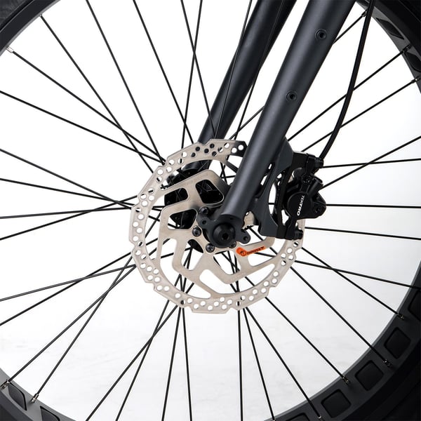 FitNord Rumble 300 Elfatbike G2, svart 8
