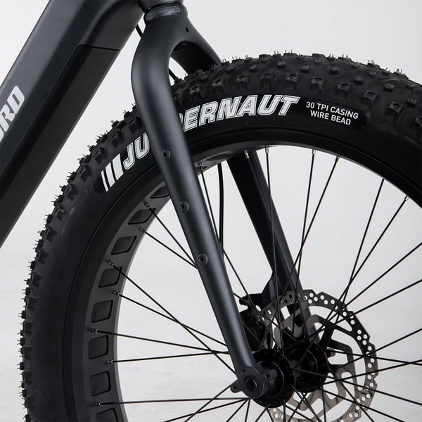 FitNord Rumble 300 Elfatbike G2, svart 7