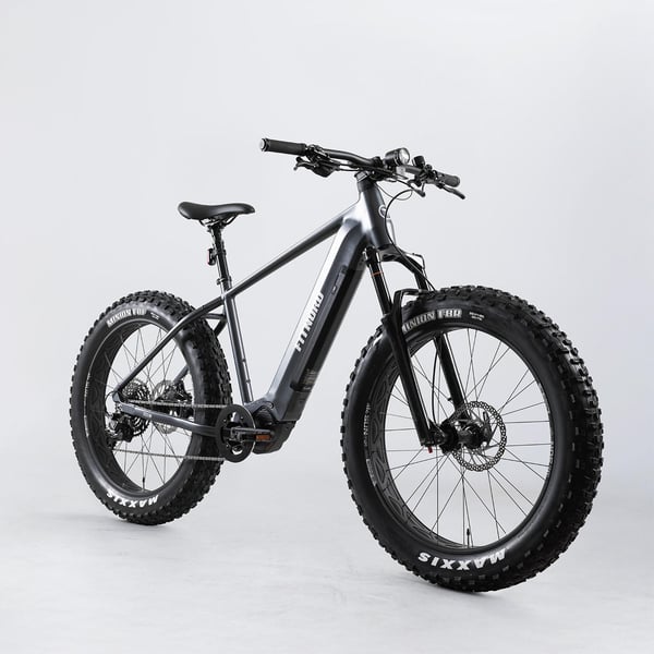 FitNord Rumble 800 Elfatbike, grafitt 3