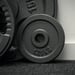 FitNord Vektskive 30 mm, Støpejern 1,25 kg 2