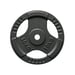 FitNord Vektskive med grep 30 mm, Støpejern 10 kg 1