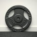 FitNord Vektskive med grep 30 mm, Støpejern 10 kg 2