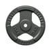 FitNord Vektplate med grep 30 mm, støpejern 15 kg 1