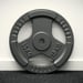 FitNord Vektplate med grep 30 mm, støpejern 15 kg 3