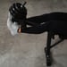 FitNord Multifunksjonell benk 200 4