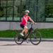 FitNord Ava 300 elsykkel, svart (720 Wh batteri/45 Nm) 2