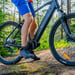 FitNord Ranger 500 elektrisk terrengsykkel (612 Wh batteri) 12