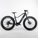 FitNord Rumble 300 Elfatbike G2, svart 1